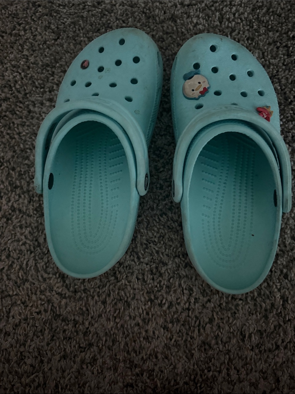 CROCS Aqua Slip-On Clogs with Charms